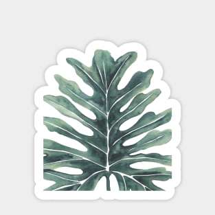 Tree Philodendron Leaf Sticker